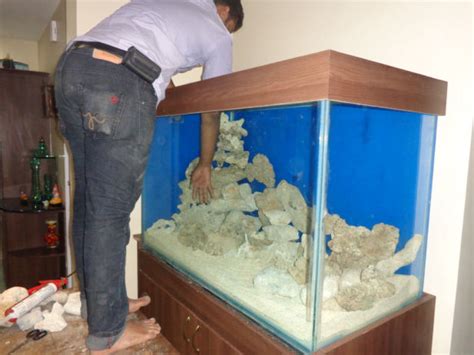 Aquarium Maintenance Chennai